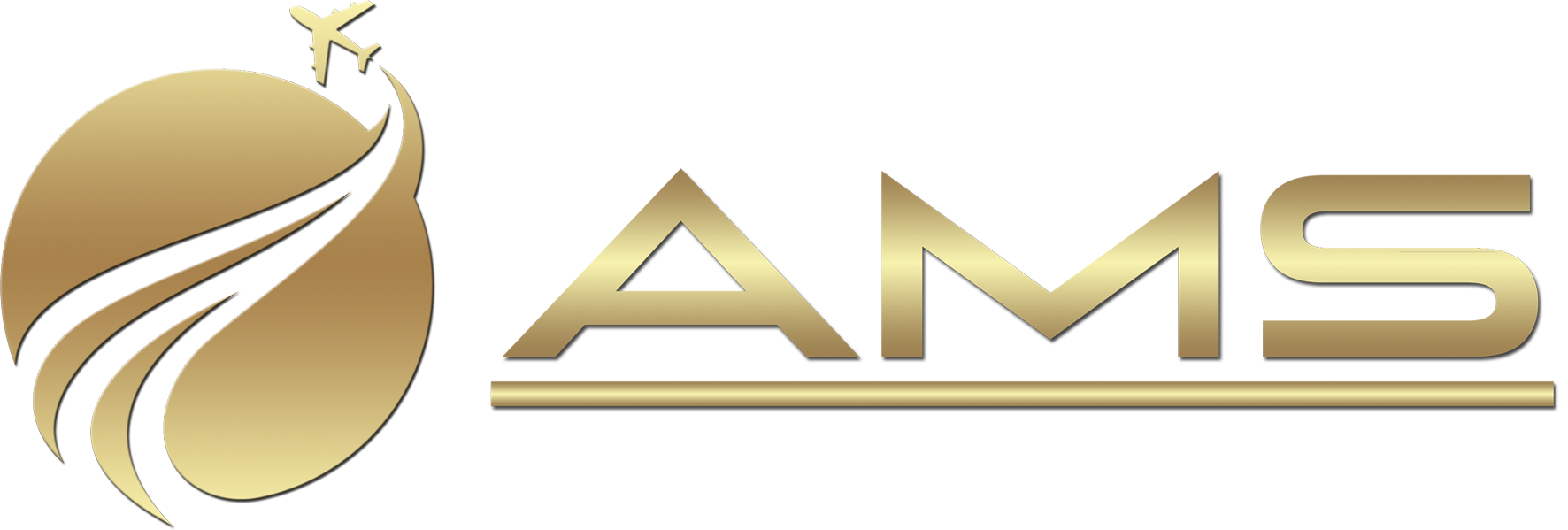 AMS International Consulting Group